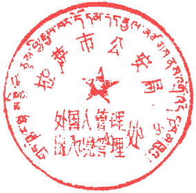 Chinese Passport Stamp